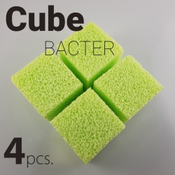 Cube Bacter